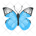 پیش‌نمایش فایل butterfly-6439345 از پک پروانه