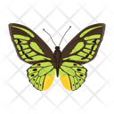 پیش‌نمایش فایل butterfly-6439347 از پک پروانه