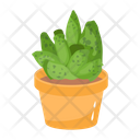پیش‌نمایش فایل cactus-pot-6470119 از پک کاکتوس