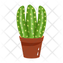 پیش‌نمایش فایل cactus-pot-6470120 از پک کاکتوس