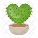 پیش‌نمایش فایل cactus-pot-6470121 از پک کاکتوس