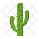 پیش‌نمایش فایل cactus-pot-6470123 از پک کاکتوس