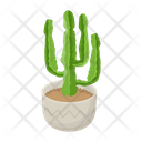 پیش‌نمایش فایل cactus-pot-6470124 از پک کاکتوس