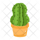 پیش‌نمایش فایل cactus-pot-6470125 از پک کاکتوس