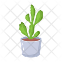 پیش‌نمایش فایل cactus-pot-6470126 از پک کاکتوس