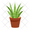 پیش‌نمایش فایل cactus-pot-6470127 از پک کاکتوس