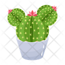پیش‌نمایش فایل cactus-pot-6470128 از پک کاکتوس