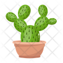 پیش‌نمایش فایل cactus-pot-6470129 از پک کاکتوس