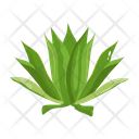 پیش‌نمایش فایل cactus-pot-6470130 از پک کاکتوس