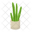 پیش‌نمایش فایل cactus-pot-6470131 از پک کاکتوس