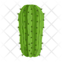 پیش‌نمایش فایل cactus-pot-6470132 از پک کاکتوس