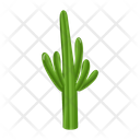 پیش‌نمایش فایل cactus-pot-6470133 از پک کاکتوس
