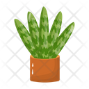 پیش‌نمایش فایل cactus-pot-6470134 از پک کاکتوس