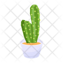 پیش‌نمایش فایل cactus-pot-6470135 از پک کاکتوس