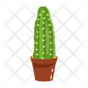 پیش‌نمایش فایل cactus-pot-6470136 از پک کاکتوس