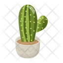 پیش‌نمایش فایل cactus-pot-6470138 از پک کاکتوس