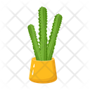 پیش‌نمایش فایل cactus-pot-6470139 از پک کاکتوس