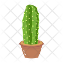 پیش‌نمایش فایل cactus-pot-6470140 از پک کاکتوس