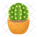 پیش‌نمایش فایل cactus-pot-6470142 از پک کاکتوس