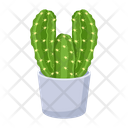 پیش‌نمایش فایل cactus-pot-6470144 از پک کاکتوس