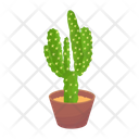 پیش‌نمایش فایل cactus-pot-6470145 از پک کاکتوس