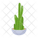 پیش‌نمایش فایل cactus-pot-6470146 از پک کاکتوس