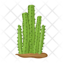 پیش‌نمایش فایل cactus-pot-6470147 از پک کاکتوس