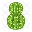 پیش‌نمایش فایل cactus-pot-6470148 از پک کاکتوس