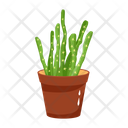 پیش‌نمایش فایل cactus-pot-6470149 از پک کاکتوس