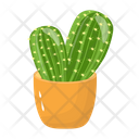 پیش‌نمایش فایل cactus-pot-6470150 از پک کاکتوس