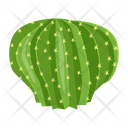 پیش‌نمایش فایل cactus-pot-6470152 از پک کاکتوس