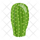 پیش‌نمایش فایل cactus-pot-6470153 از پک کاکتوس