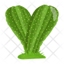 پیش‌نمایش فایل cactus-pot-6470154 از پک کاکتوس