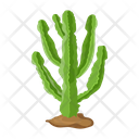 پیش‌نمایش فایل cactus-pot-6470155 از پک کاکتوس