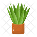 پیش‌نمایش فایل cactus-pot-6470156 از پک کاکتوس