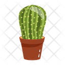 پیش‌نمایش فایل cactus-pot-6470157 از پک کاکتوس