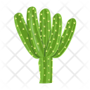 پیش‌نمایش فایل cactus-pot-6470158 از پک کاکتوس