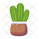 پیش‌نمایش فایل cactus-pot-6470159 از پک کاکتوس