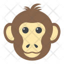 پیش‌نمایش فایل chimpanzee-4 از پک حیوانات ۲