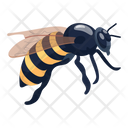 پیش‌نمایش فایل bumblebee-6530539 از پک زنبور عسل