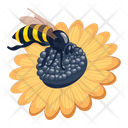 پیش‌نمایش فایل bumblebee-6530546 از پک زنبور عسل