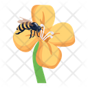 پیش‌نمایش فایل bumblebee-6530579 از پک زنبور عسل