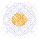 پیش‌نمایش فایل helianthus-6530540 از پک زنبور عسل