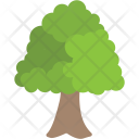پیش‌نمایش فایل basswood-tree از پک طبیعت ۲