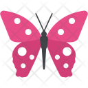 پیش‌نمایش فایل butterfly-426 از پک طبیعت ۲