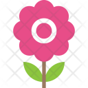 پیش‌نمایش فایل daisy-26 از پک طبیعت ۲