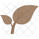 پیش‌نمایش فایل leaf-475 از پک طبیعت ۲
