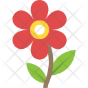 پیش‌نمایش فایل marigold از پک طبیعت ۲