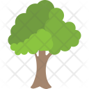 پیش‌نمایش فایل oak-tree-6 از پک طبیعت ۲