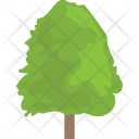 پیش‌نمایش فایل poplar-tree از پک طبیعت ۲